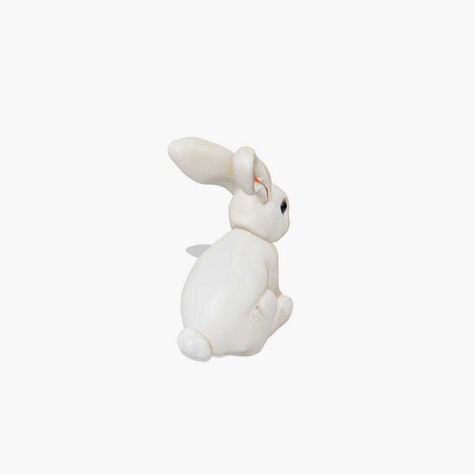 Soft White Bunny model pack